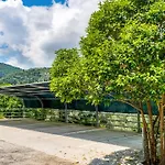 Nikoleta A Nikiana